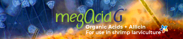 Advertisement for Megasupply's MegAcidG organic acids and allicin for use in shrimp larviculture