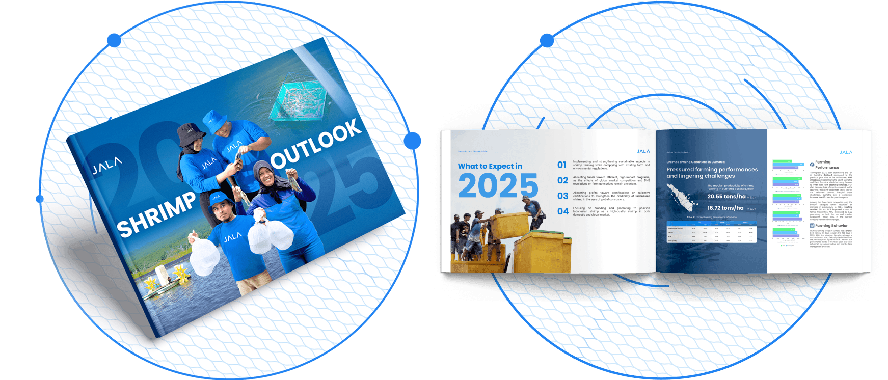 Shrimp Outlook 2025 Report by JALA