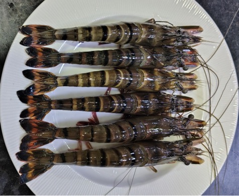 Shrimp on a plate