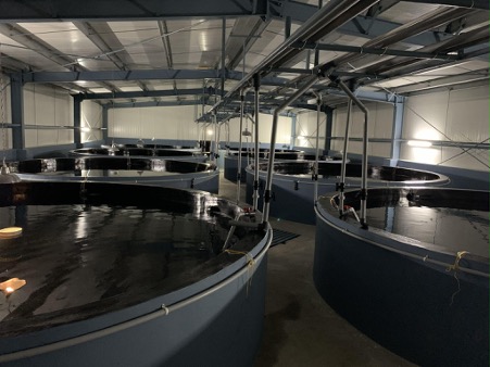 A sneak peek into Unibio’s hatchery in Tamil Nadu