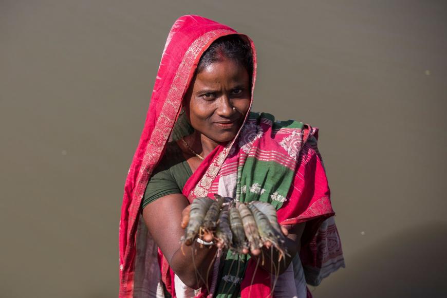 Lady holding shrimp (Solidaridad Bangladesh