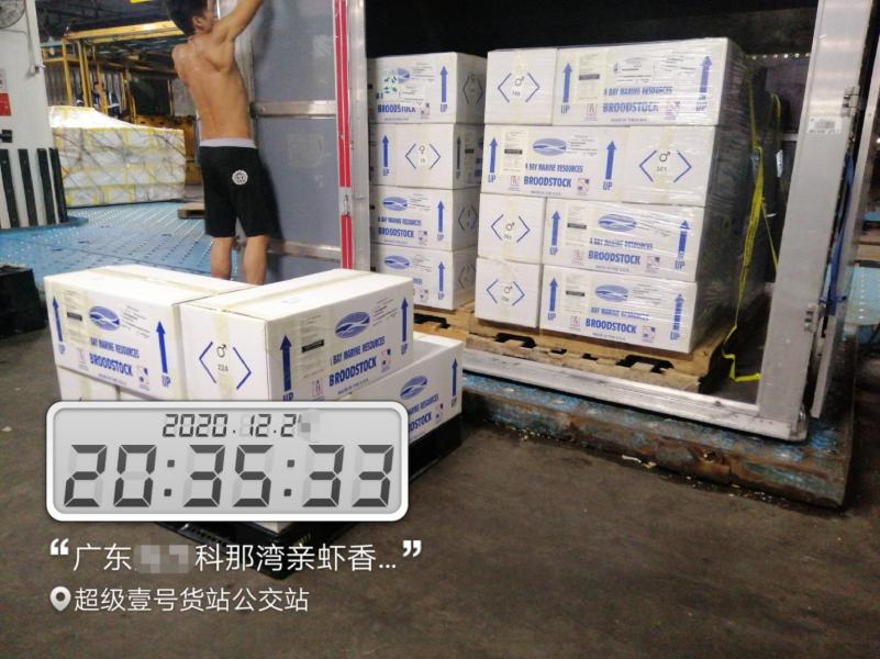 Kona Bay shipment to CHina