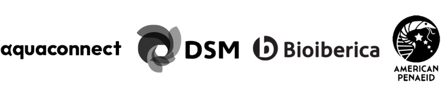 Logo balk