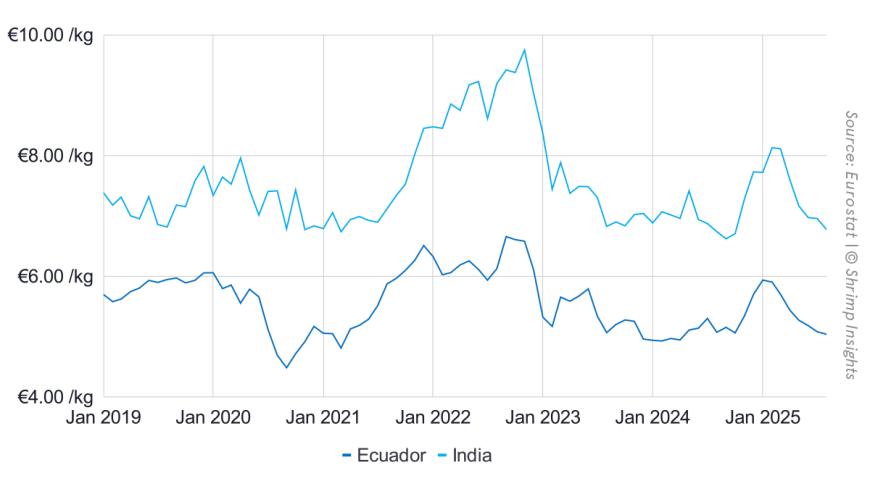 Average Import Value of Raw Penaeus Shrimp from India and Ecuador into the EU (January 2019 – August 2025)