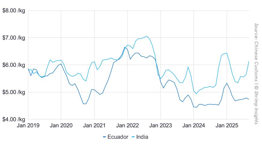 Average Import Price of Shrimp from Ecuador and India to China (January 2021 – September 2025)