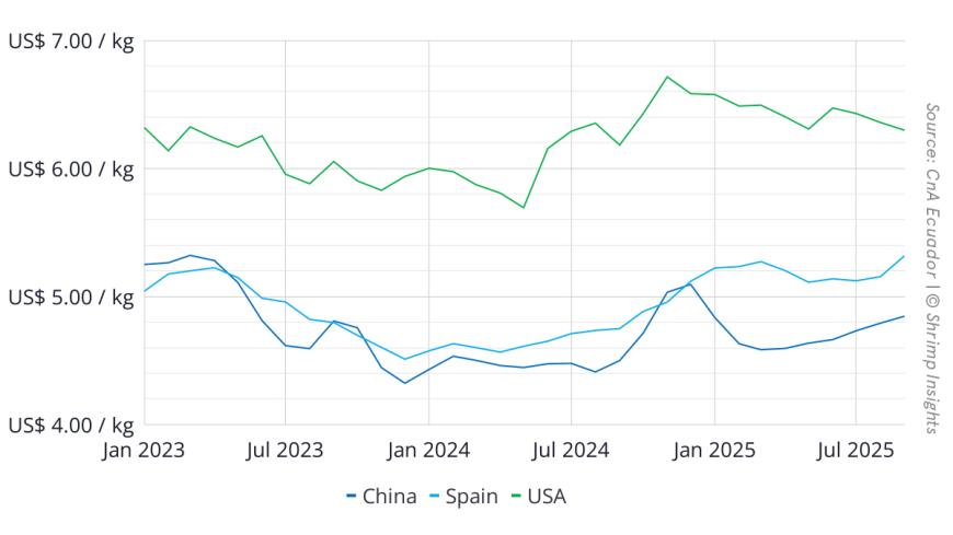 Average Export Value per Kilogram of Ecuadorian Shrimp to China, USA, and Spain (January 2023 – September 2025)