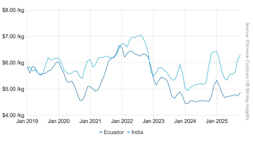 Average Import Price of Shrimp from Ecuador and India to China (January 2021 – October 2025)