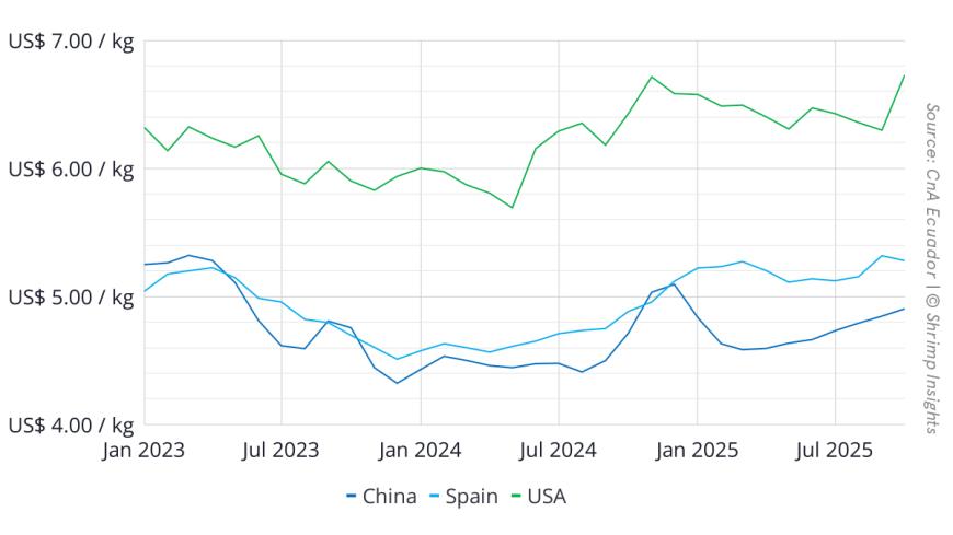 Average Export Value per Kilogram of Ecuador’s Shrimp to China, USA, and Spain (January 2023 – October 2025)