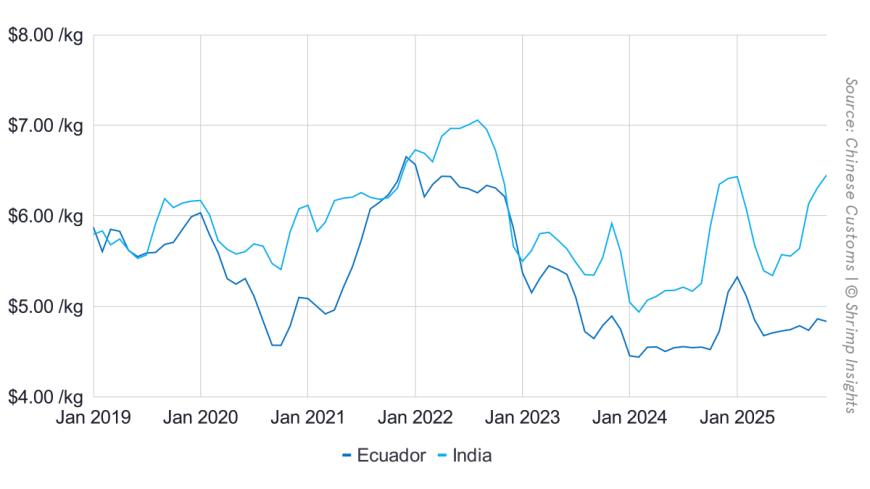 Average Import Price of Shrimp from Ecuador and India to China (January 2021 – November 2025)