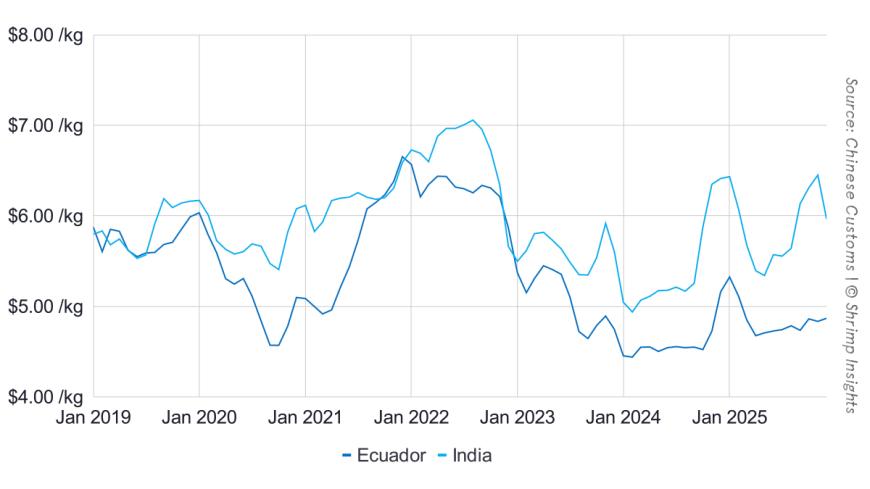 Average Import Price of Shrimp from Ecuador and India to China (January 2021 – December 2025)