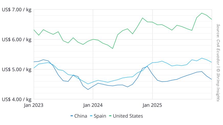 Average Export Value per Kilogram of Ecuador’s Shrimp to China, USA, and Spain (January 2023 – January 2026)