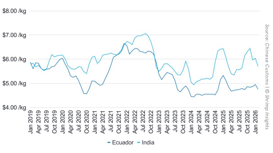 Average Import Price of Shrimp from Ecuador and India to China (January 2019 – February 2026)