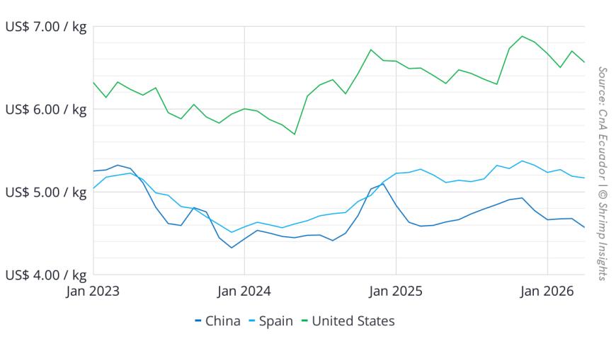 Average Export Value per Kilogram of Ecuador’s Shrimp to China, USA, and Spain (January 2023 – April 2026)